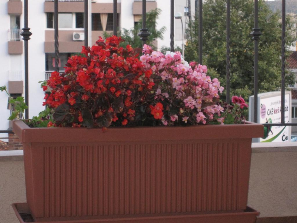 Apartments City Center تيفات المظهر الخارجي الصورة